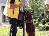 Nagyobb kép megtekintése