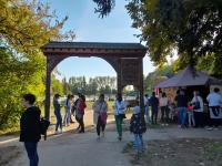 Nagyobb kép megtekintése