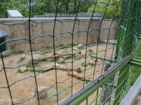 Nagyobb kép megtekintése