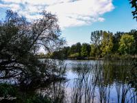 Nagyobb kép megtekintése