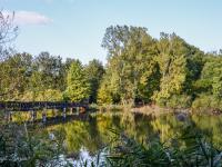 Nagyobb kép megtekintése