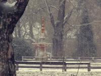 Nagyobb kép megtekintése