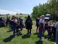 Nagyobb kép megtekintése