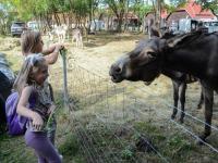 Nagyobb kép megtekintése