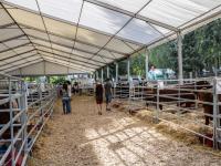 Nagyobb kép megtekintése