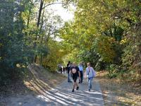 Nagyobb kép megtekintése