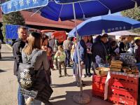 Nagyobb kép megtekintése